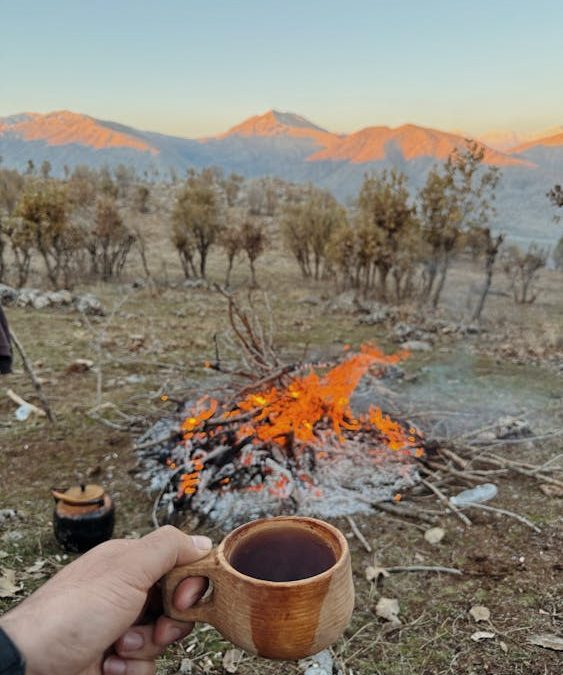 Thank You in Kurmanji